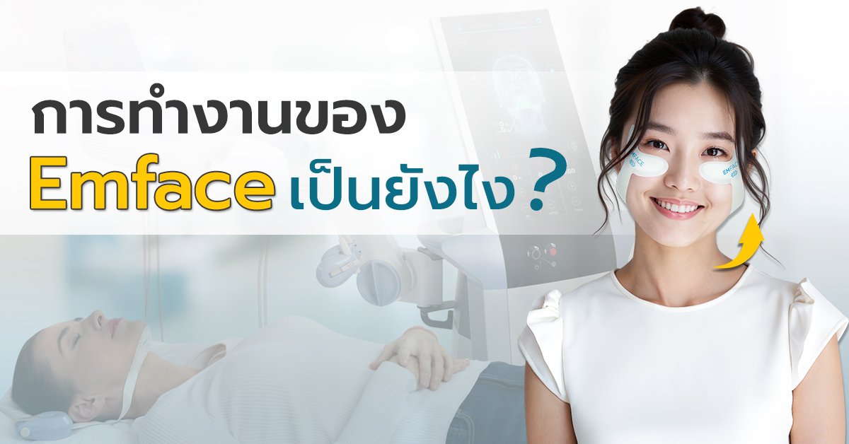 การทำงานของ Emface เป็นยังไง