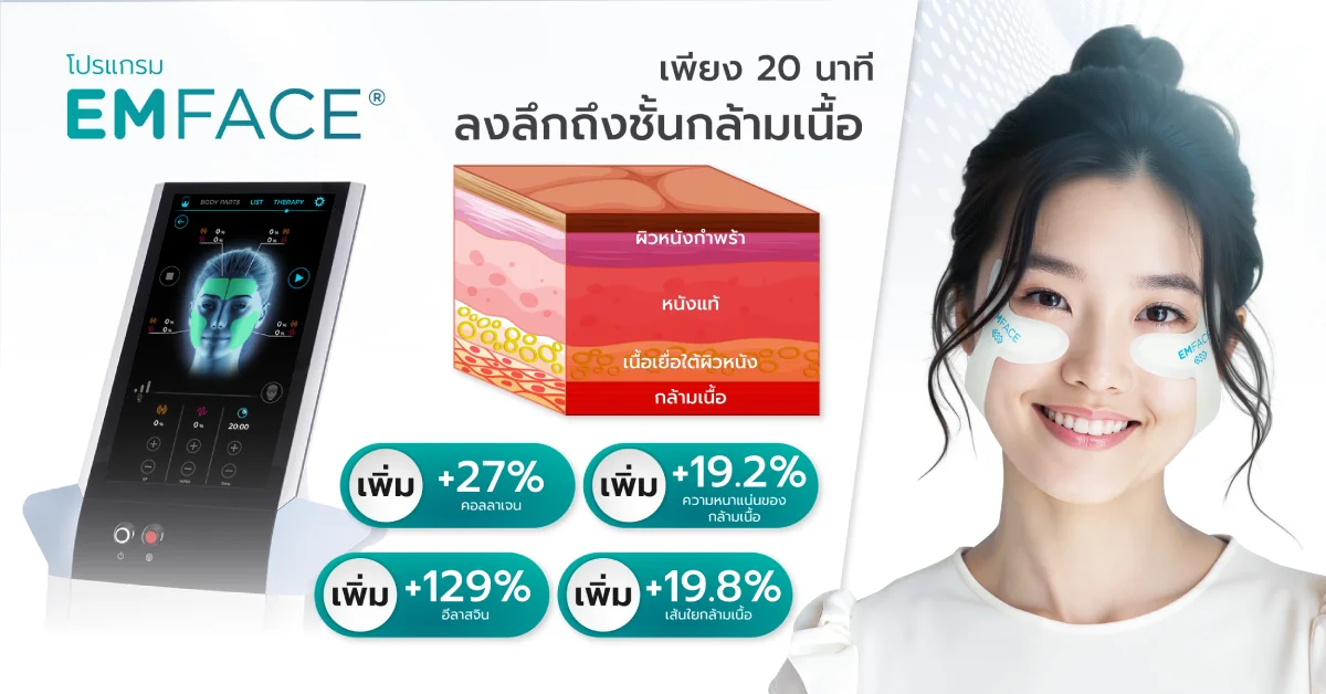โปรแกรม Emface